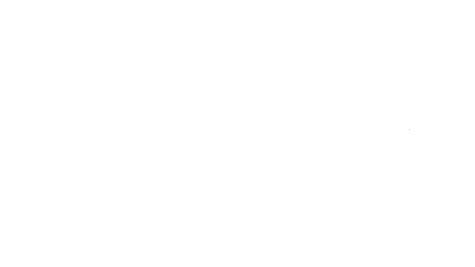 NETMAX TV